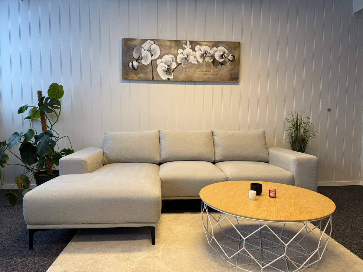 Moderne Lysegrå Sofa