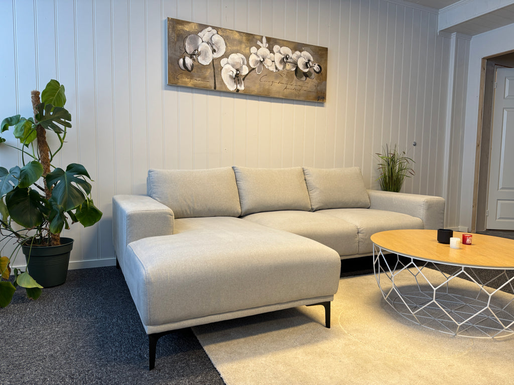 Moderne Lysegrå Sofa