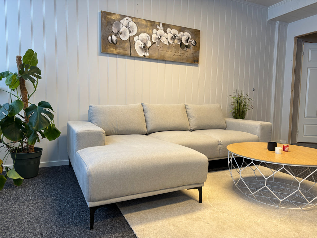Moderne Lysegrå Sofa