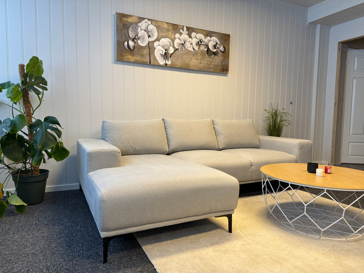 Moderne Lysegrå Sofa