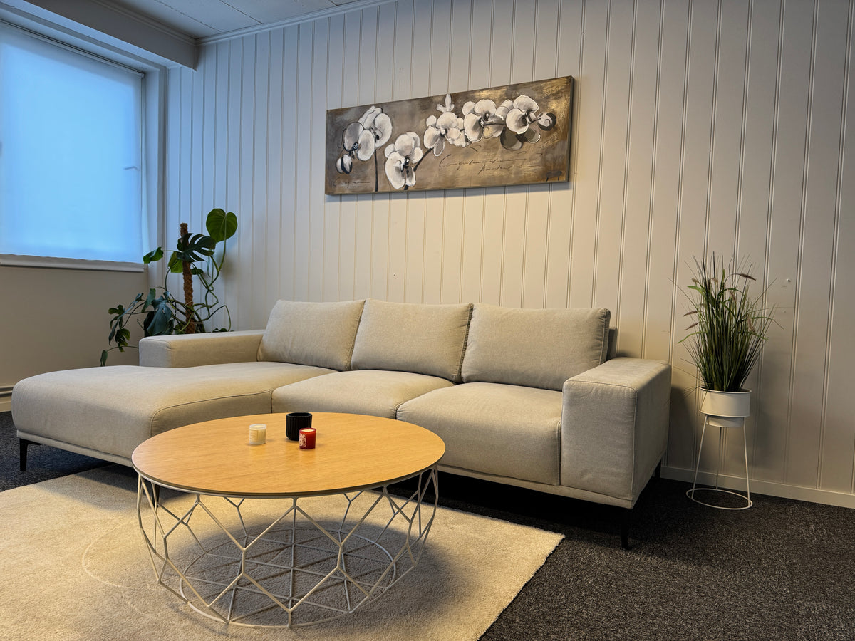 Moderne Lysegrå Sofa