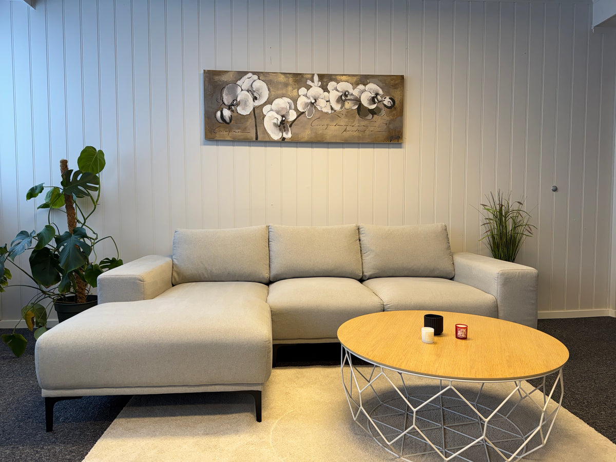 Moderne Lysegrå Sofa